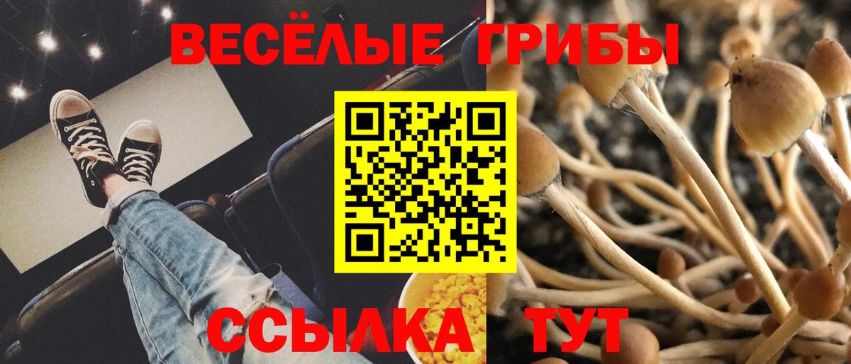 Псилоцибиновые грибы Psilocybe  Псилоцибиновые грибы ЛСД  Мыски  Вход с VPN 